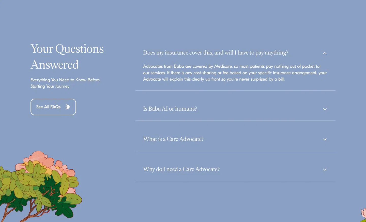 Baba Support FAQ Design