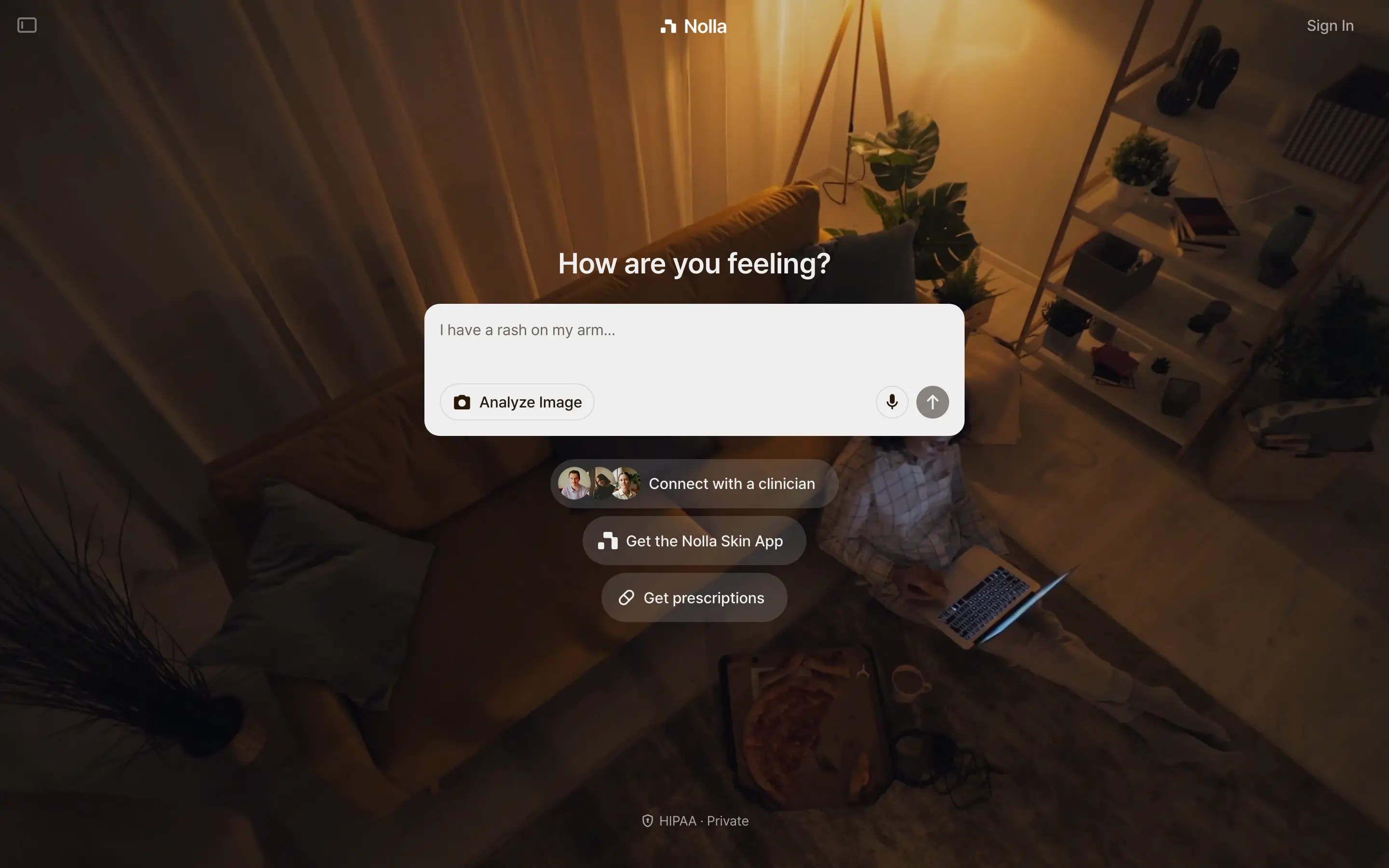 Nolla Symptoms Input Hero Design