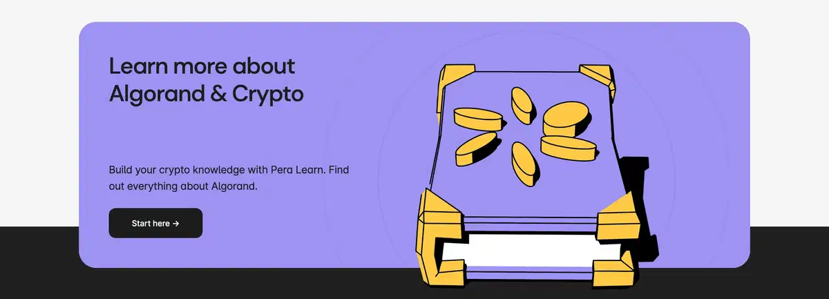 Pera Home Page Section CTA