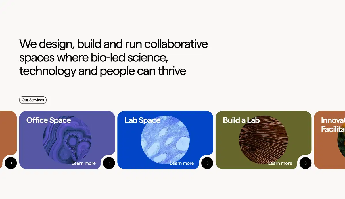 Colabs Home Page Section Services