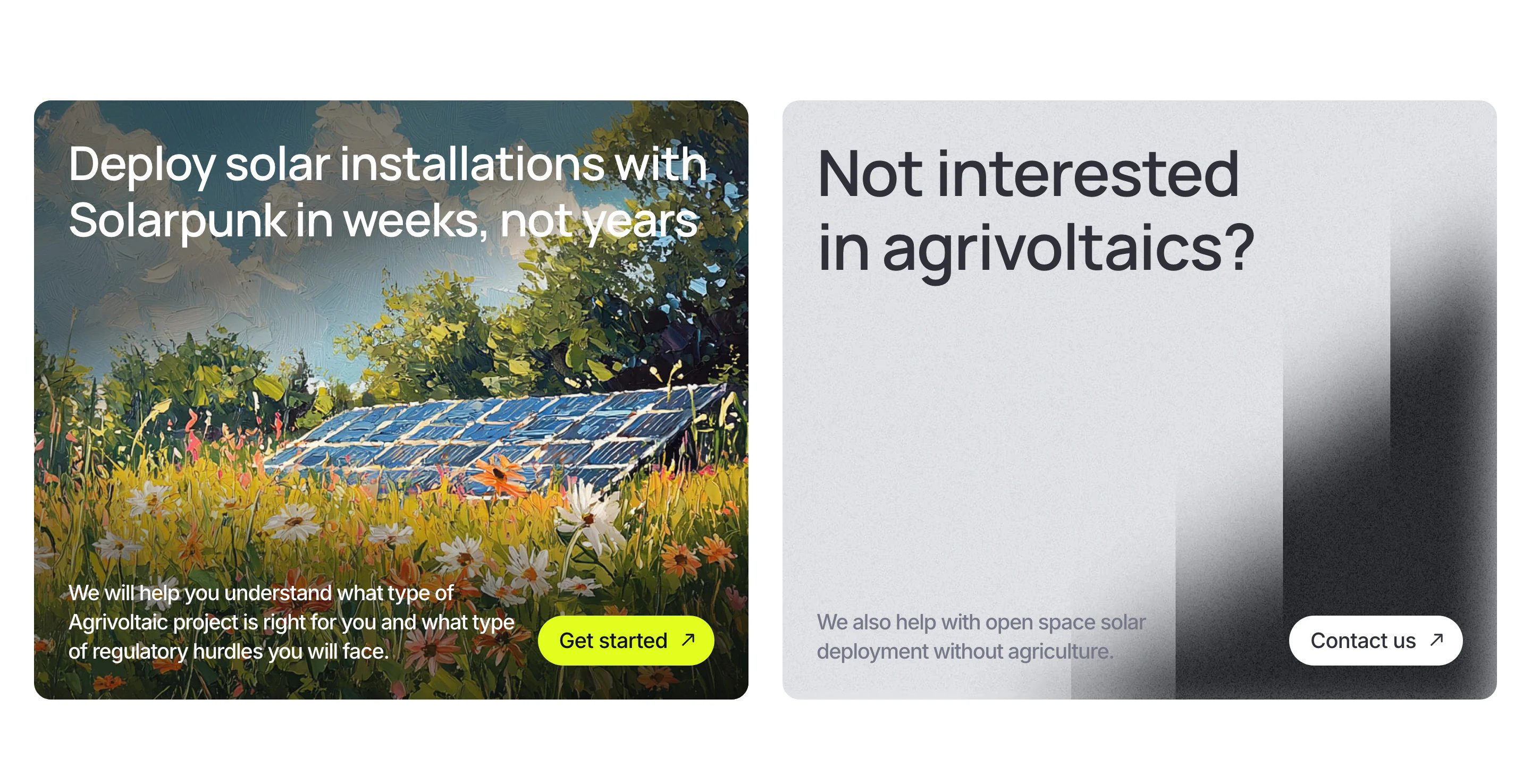 Solarpunk Home Page Section CTA