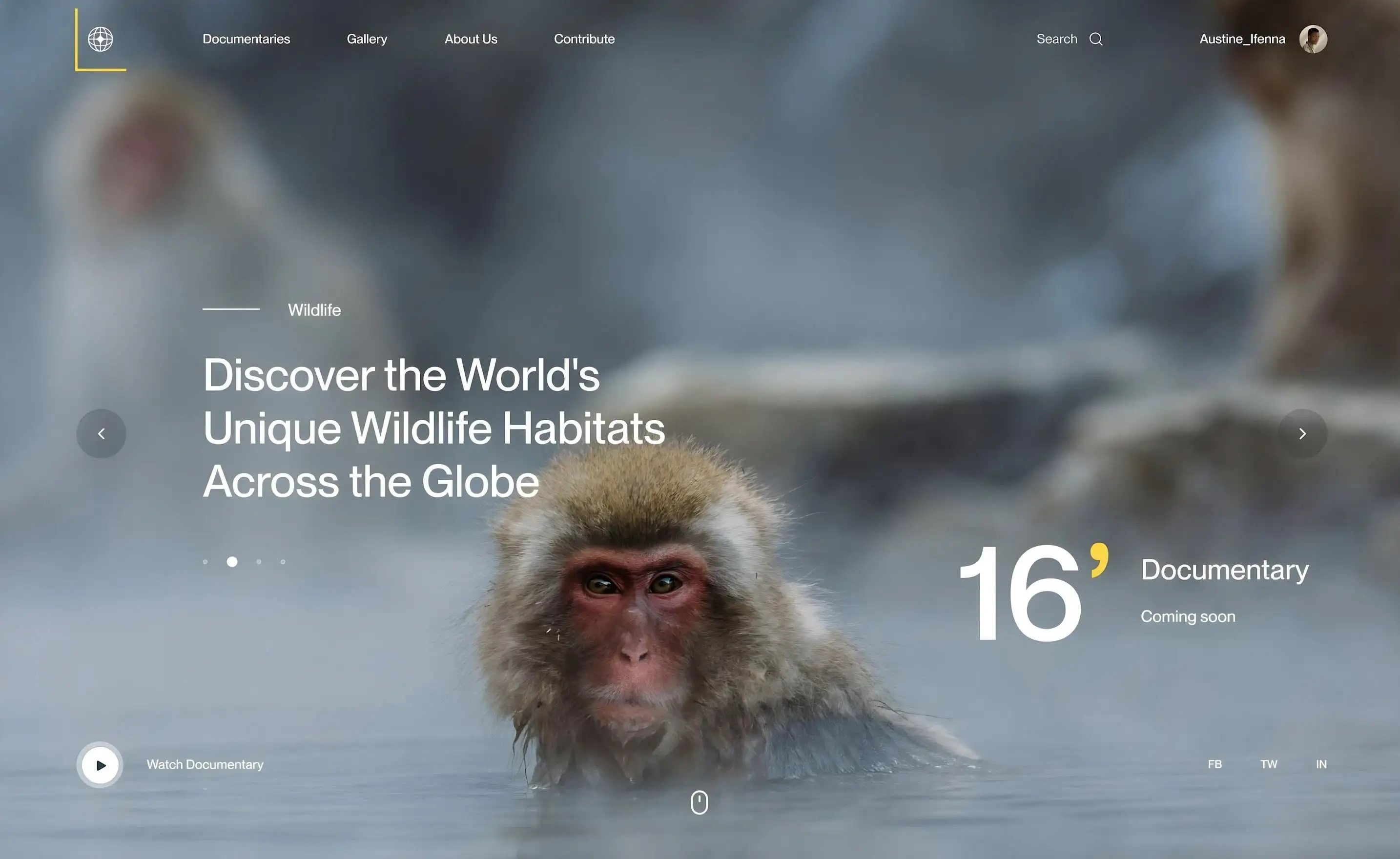 Wildlife Documentary Hero Section Design