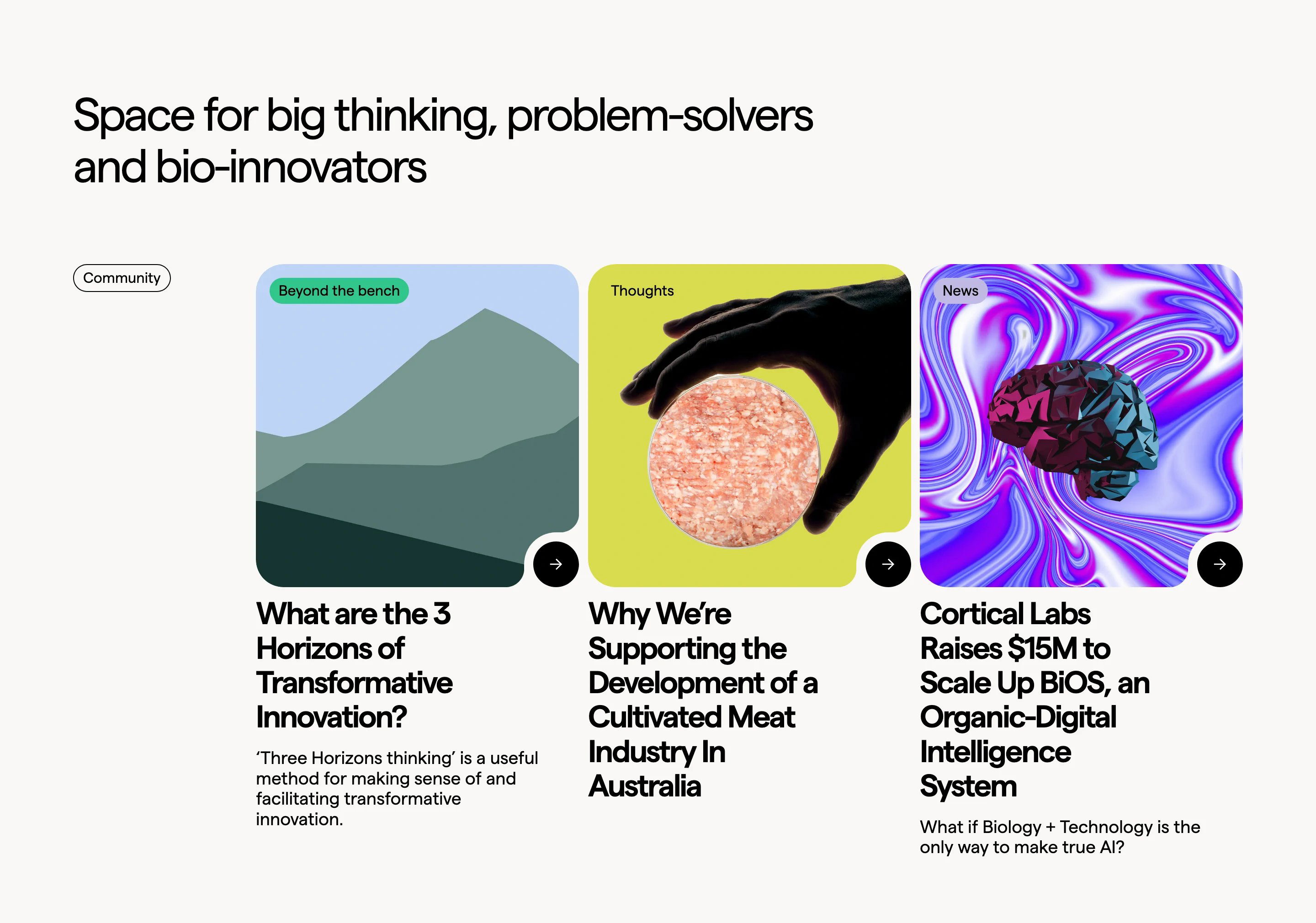 Colabs Home Page Section Blog