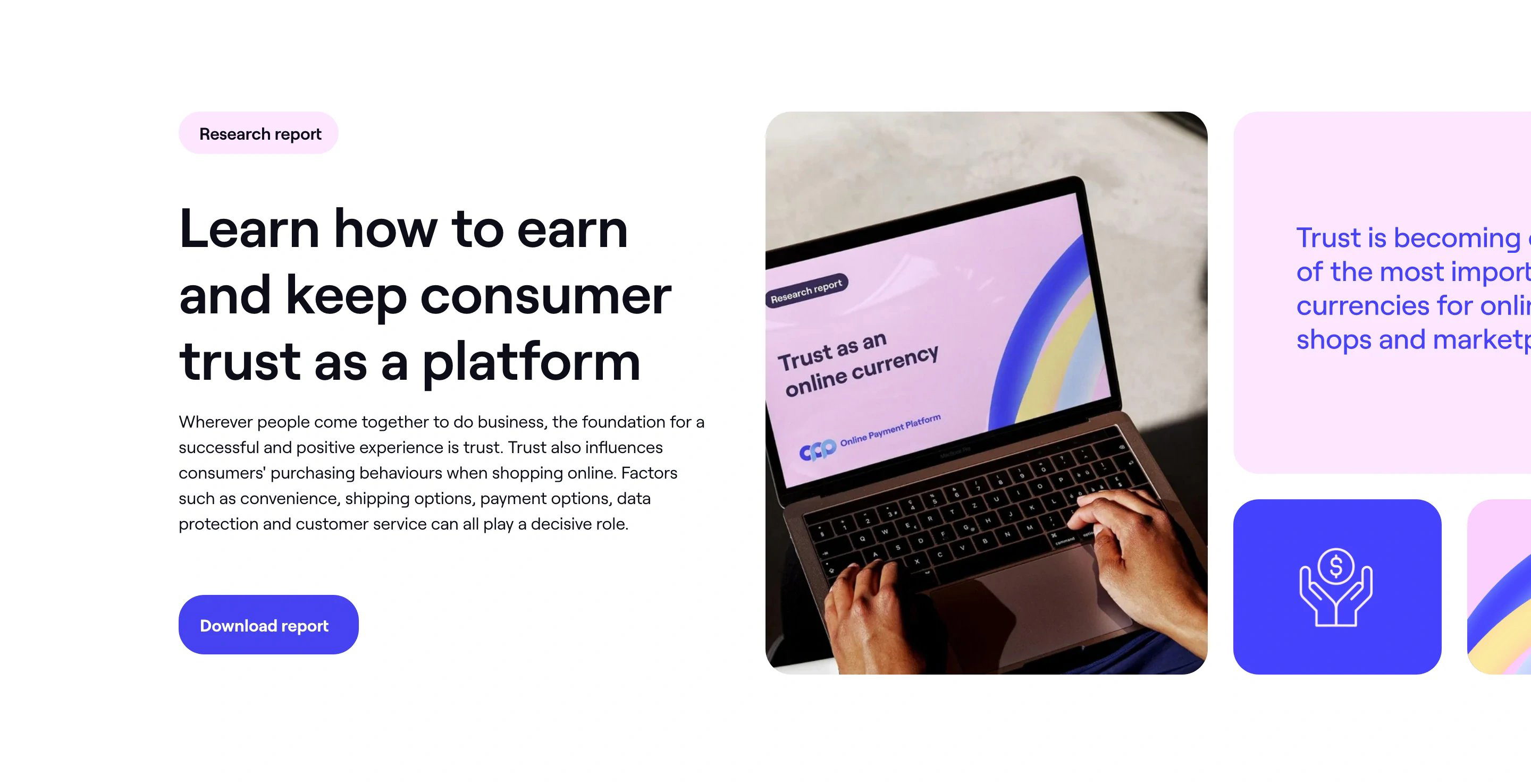 Online Payment Platform Home Page Section Report