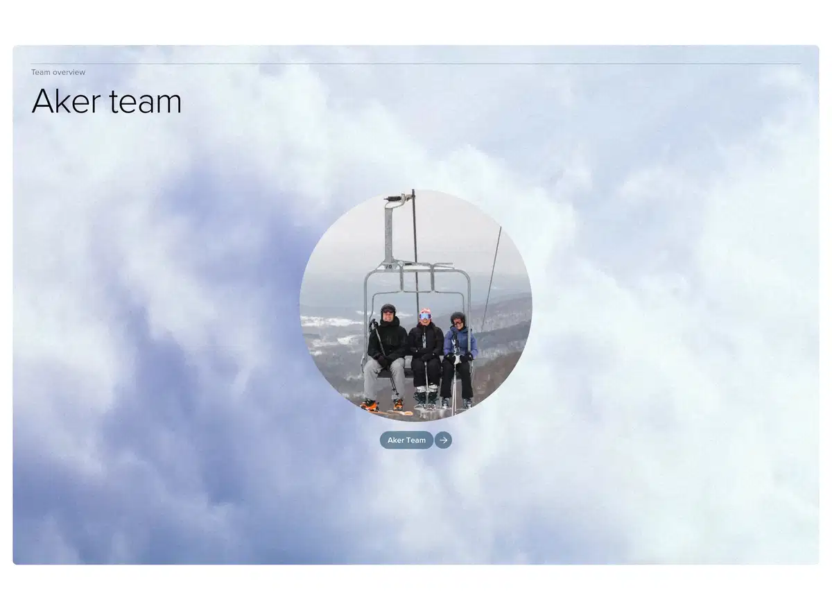 Aker Home Page Section Team Overview