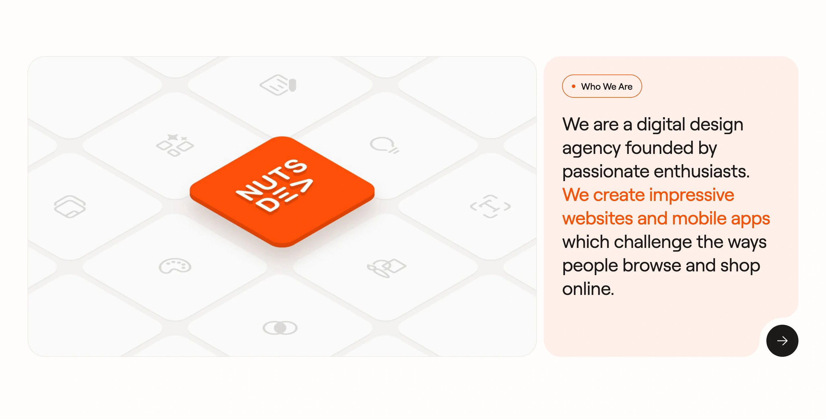 Nutsdev Home Page Section Who We Are