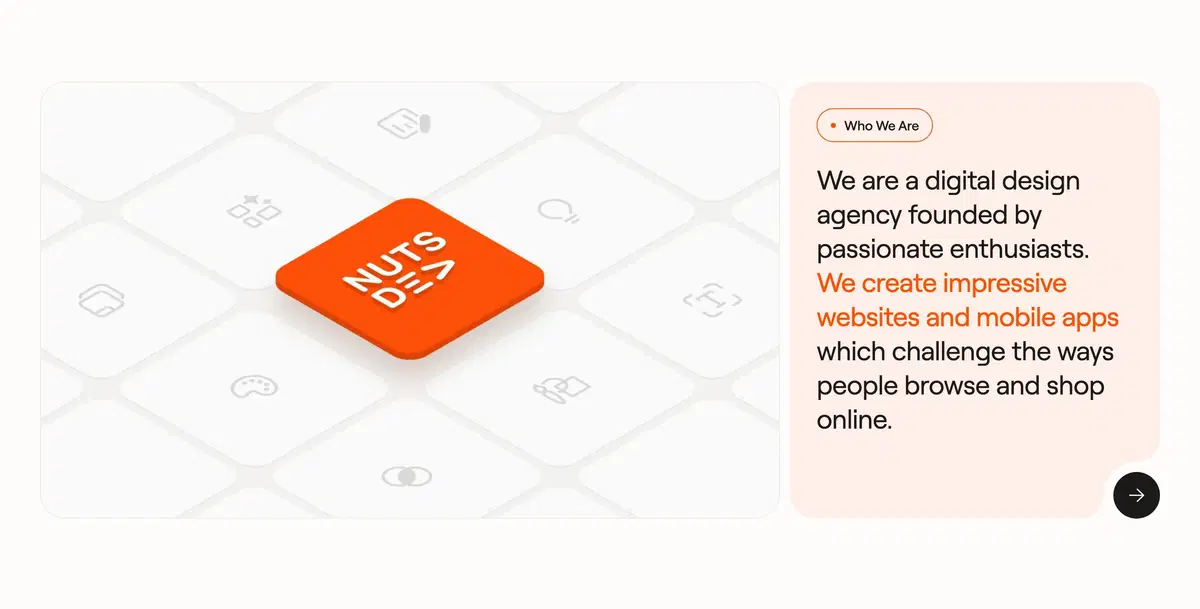 Nutsdev Home Page Section Who We Are
