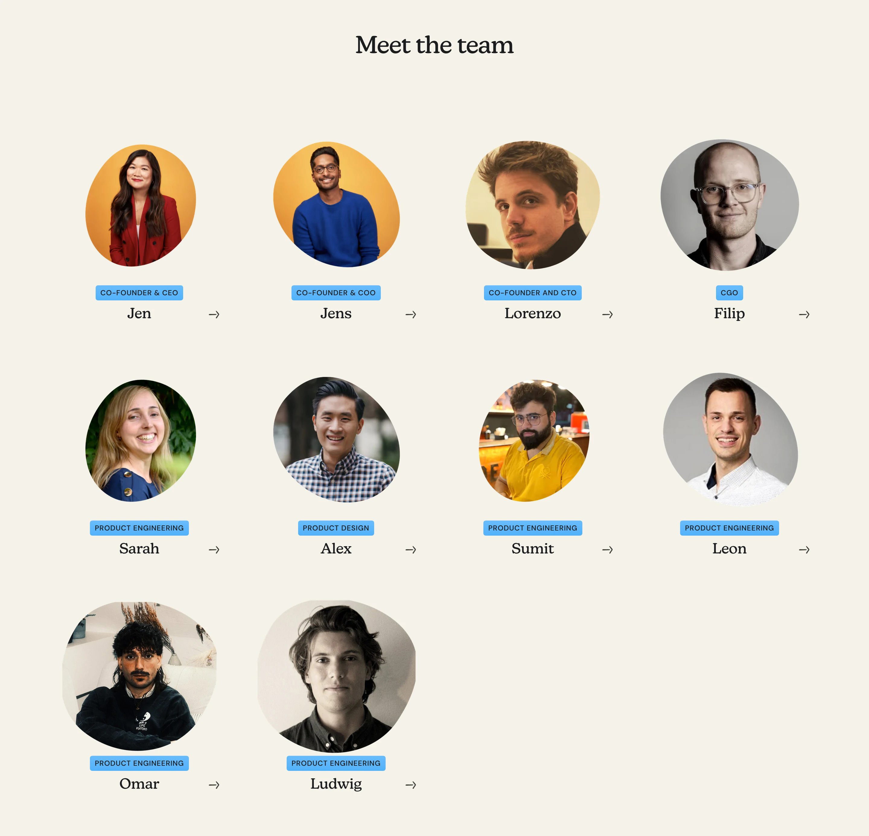 Passionfroot About Page Section Meet The Team