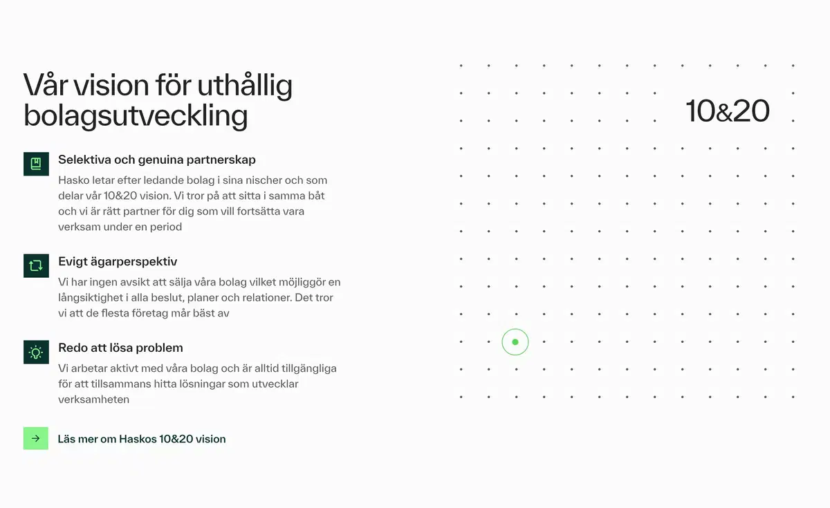 Hasko Home Page Section Vision