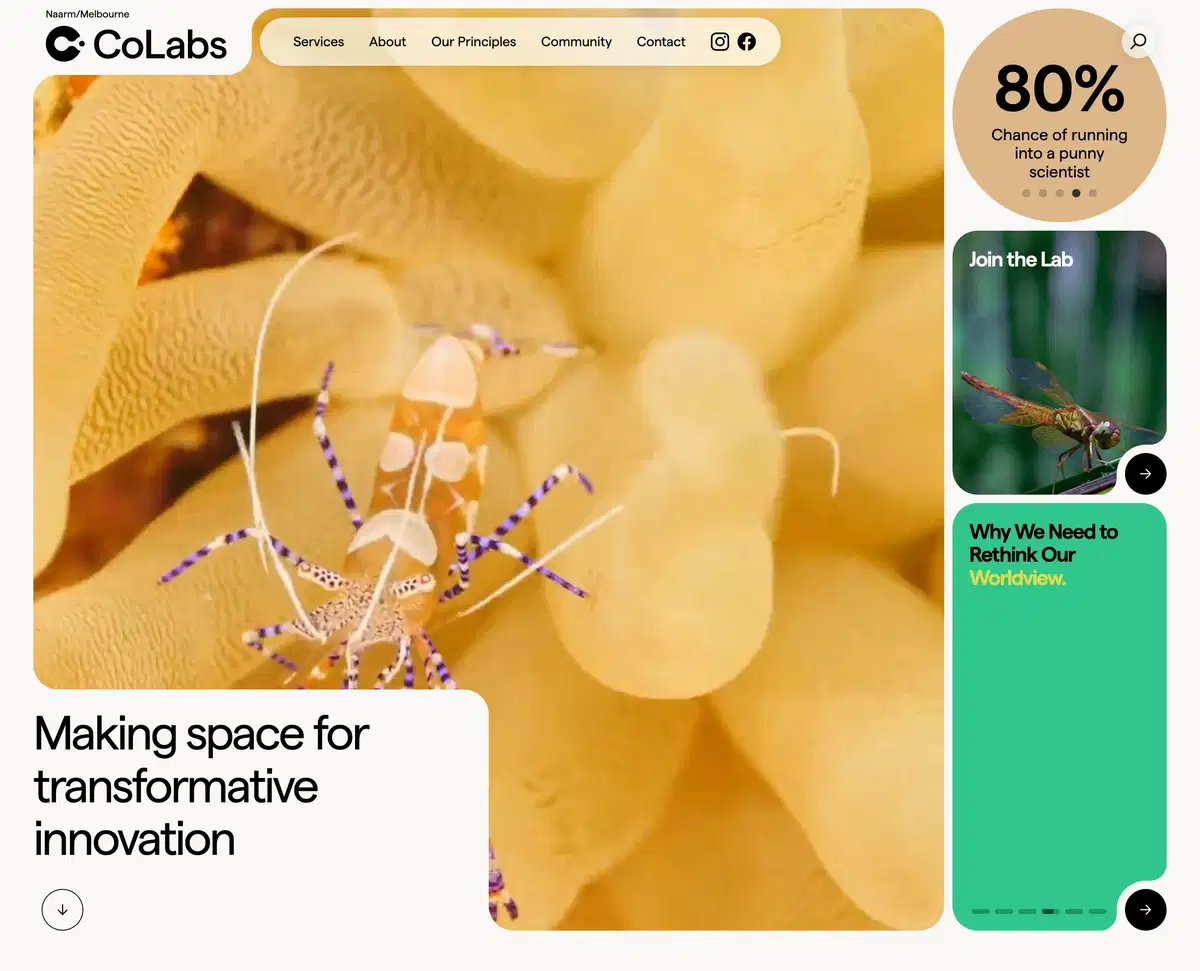 Colabs Home Page Section Hero