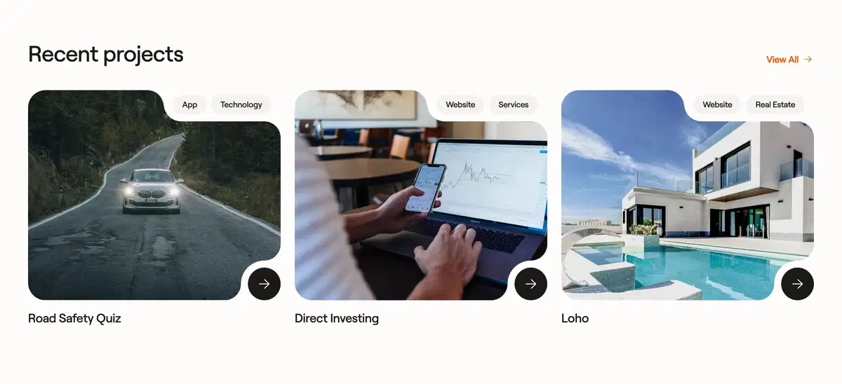 Nutsdev Home Page Section Projects
