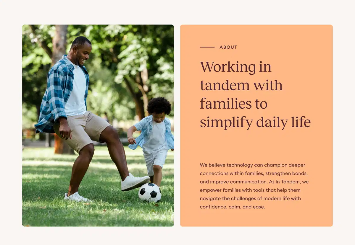 In Tandem Home Page Section About