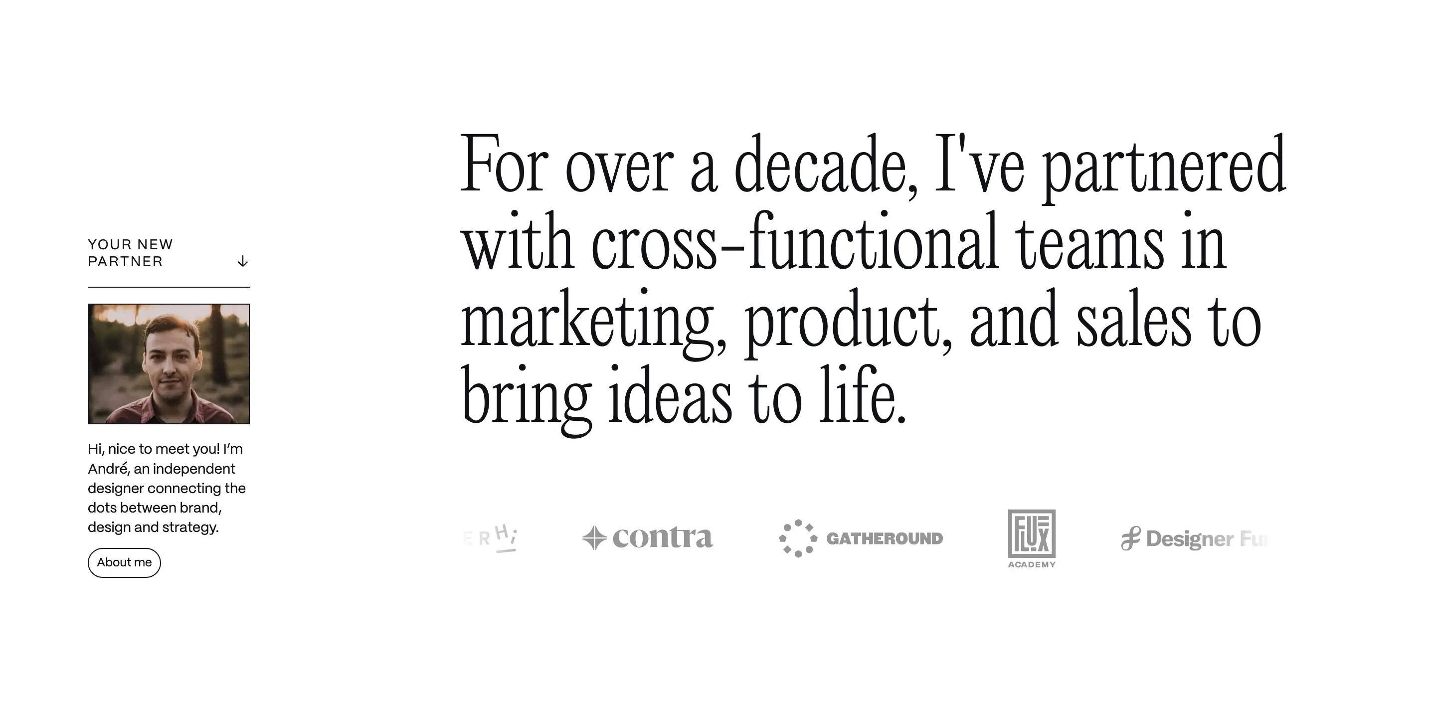 Andre Professional Introduction Design