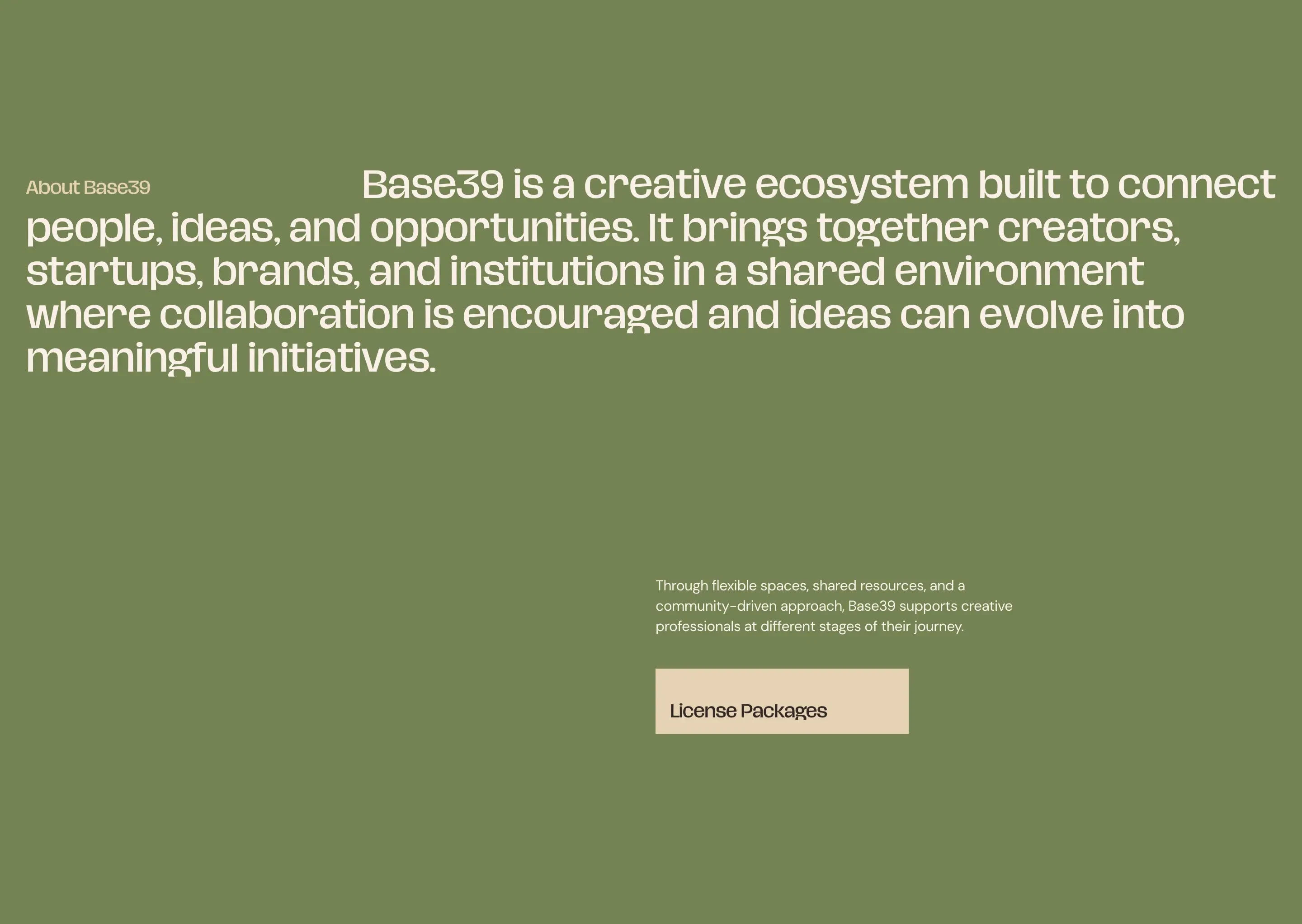 Base39 Company Feature Design
