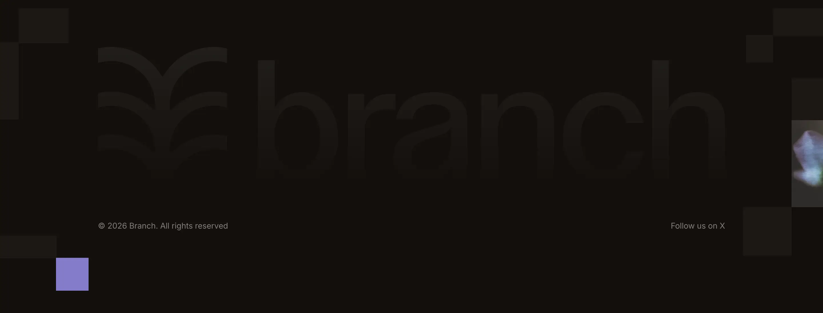Branch Company Footer Design