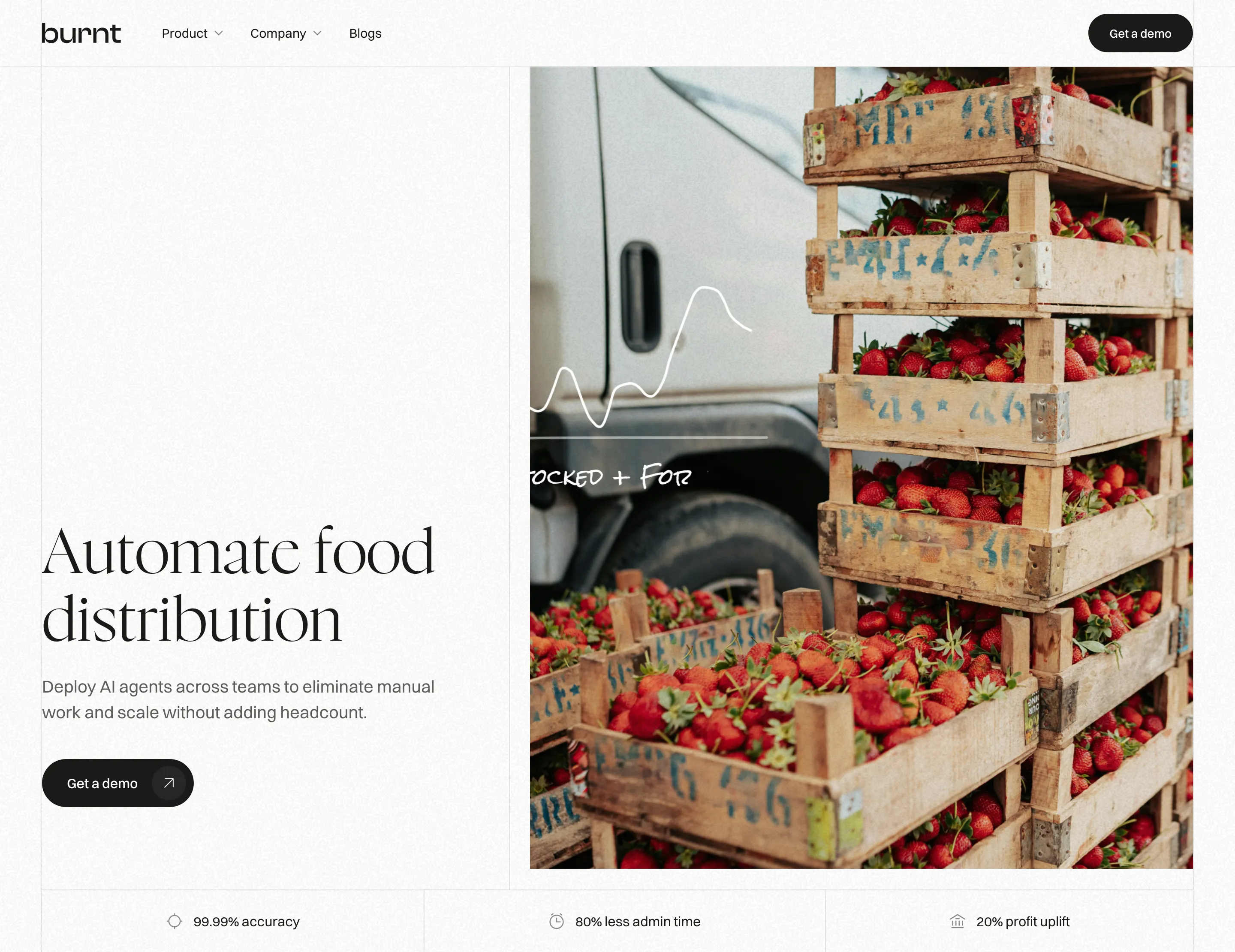 Burnt Food Distribution Hero Design