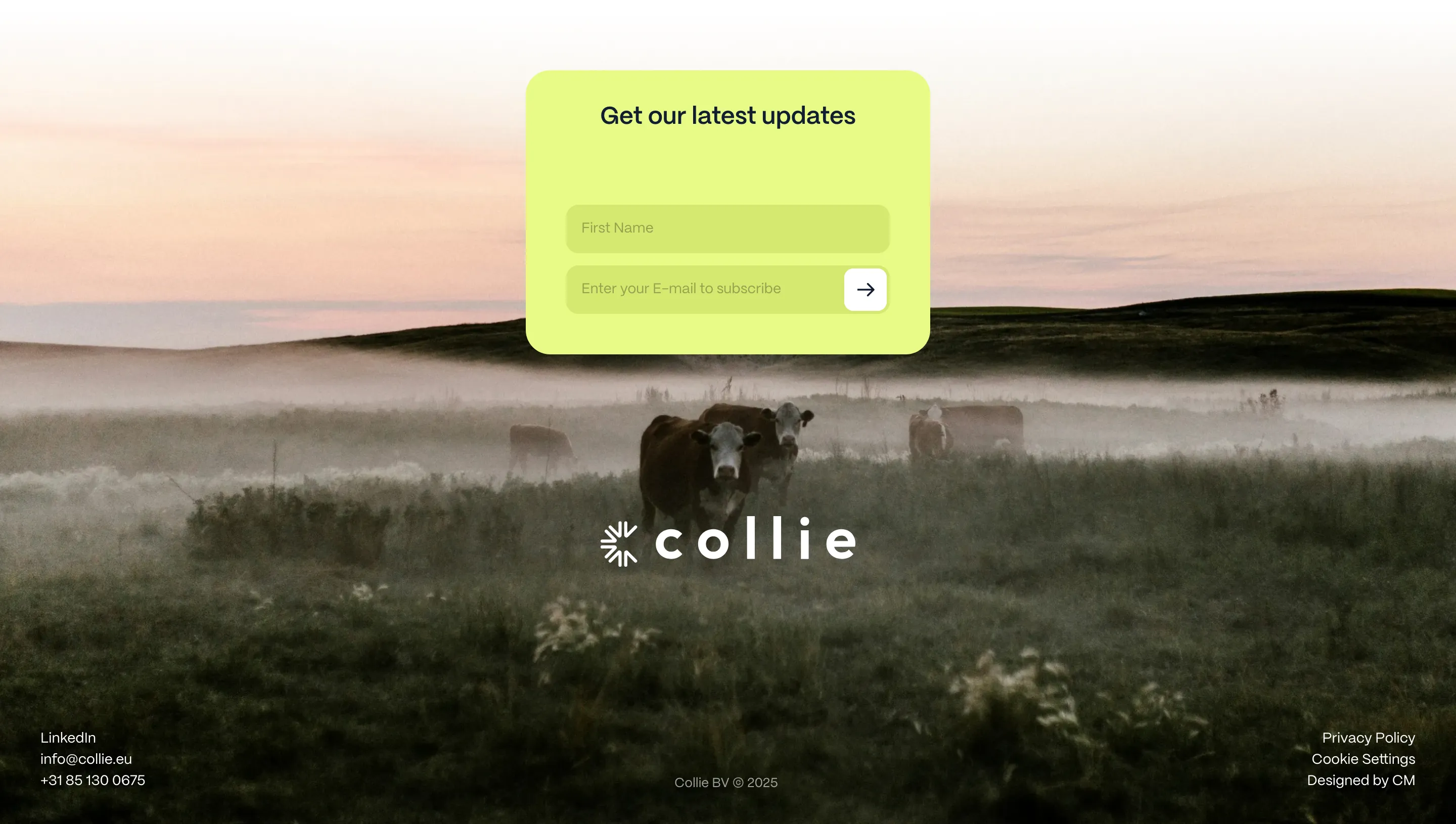 Collie Newsletter Footer Design