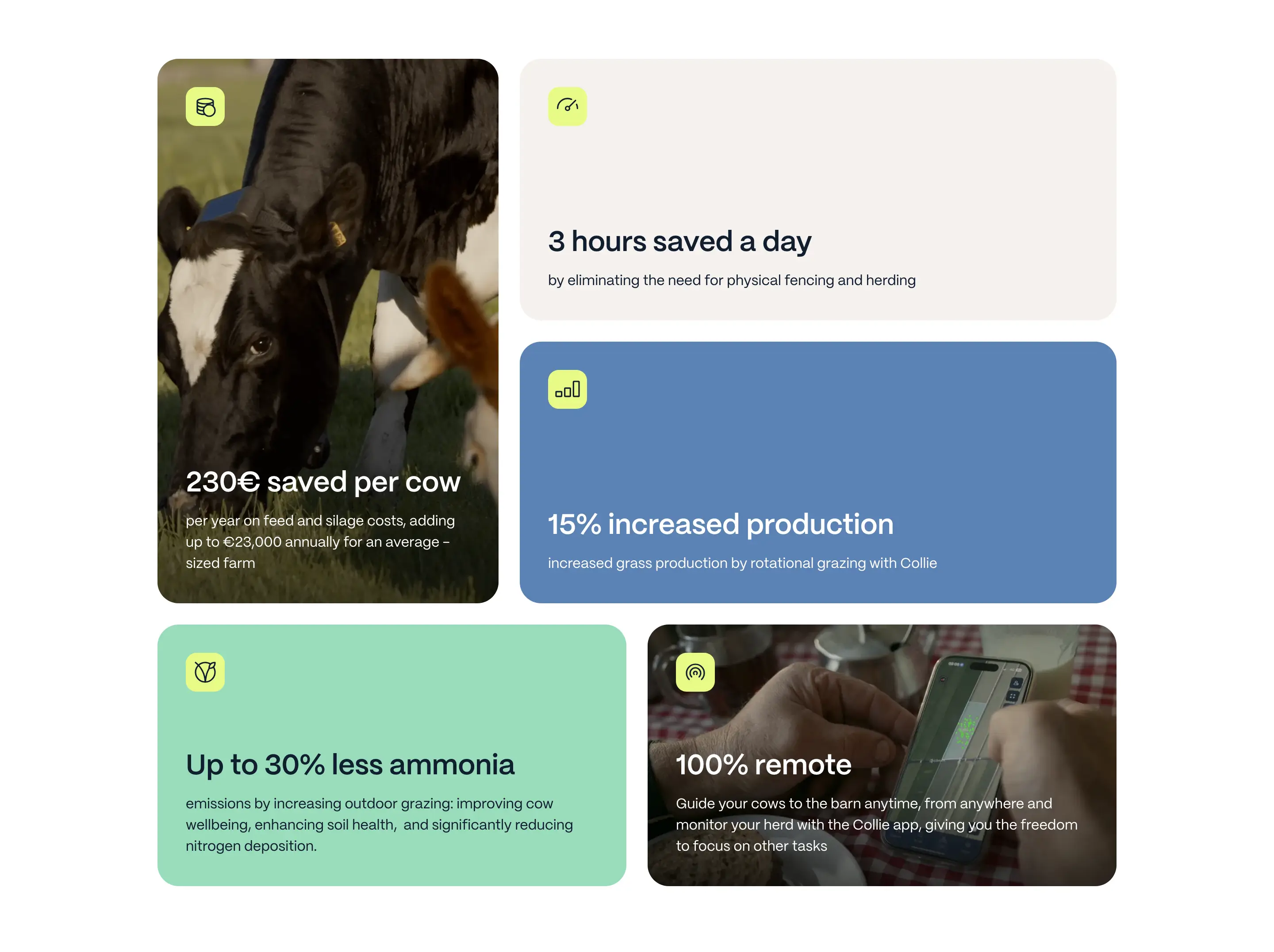 Collie Value Grid Design