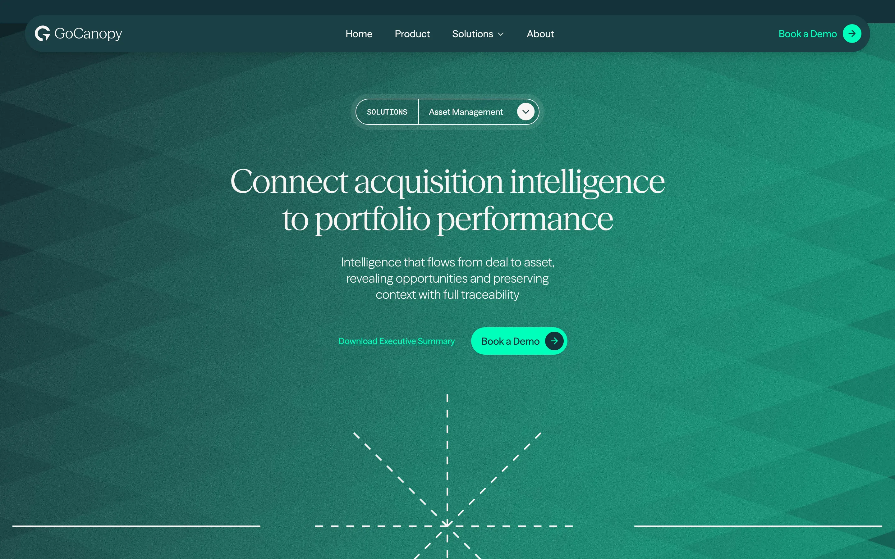 GoCanopy Acquisition Intelligence Hero Design