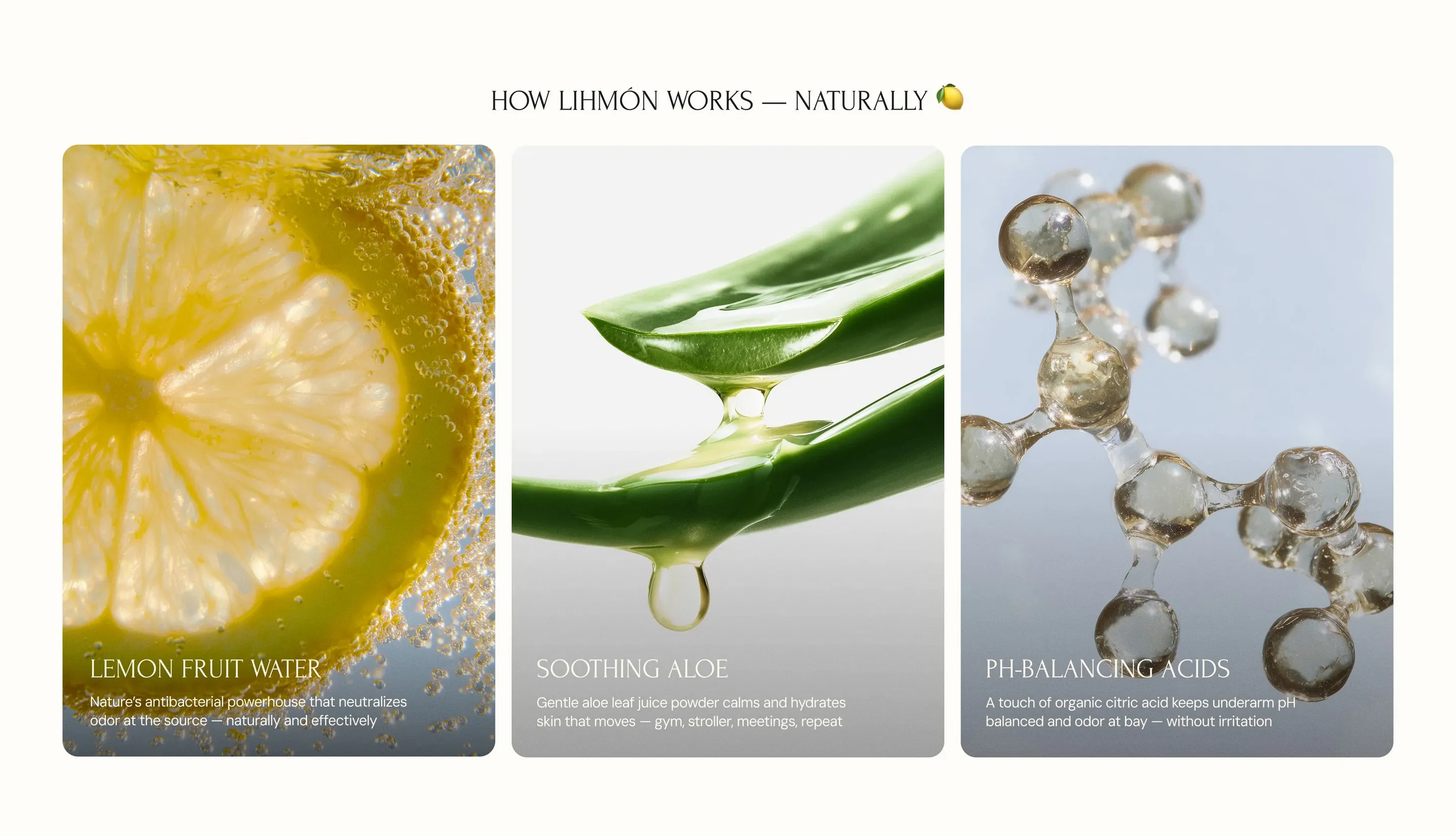 Lihmon Ingredients Feature Design