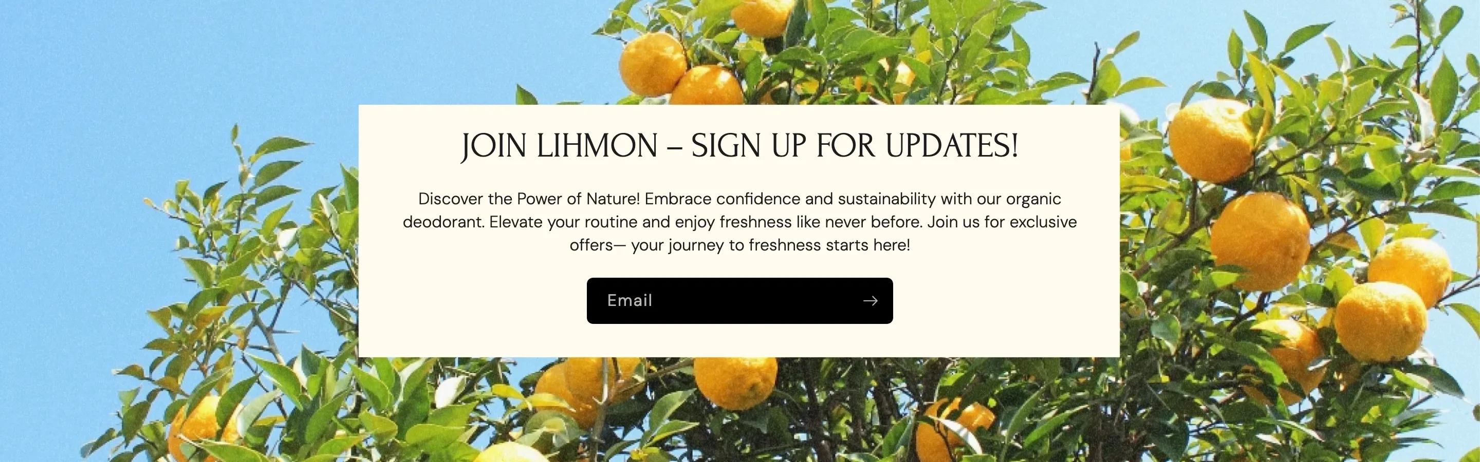 Lihmon Newsletter CTA Design