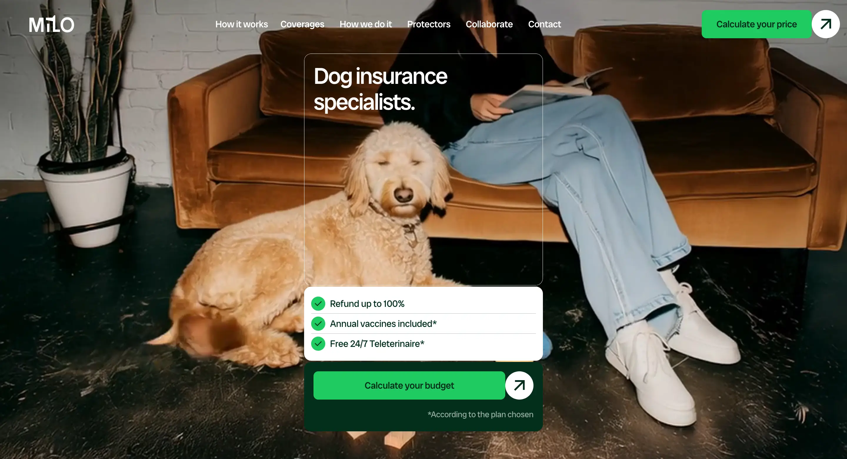 Milo Dog Insurance Call To Action Design