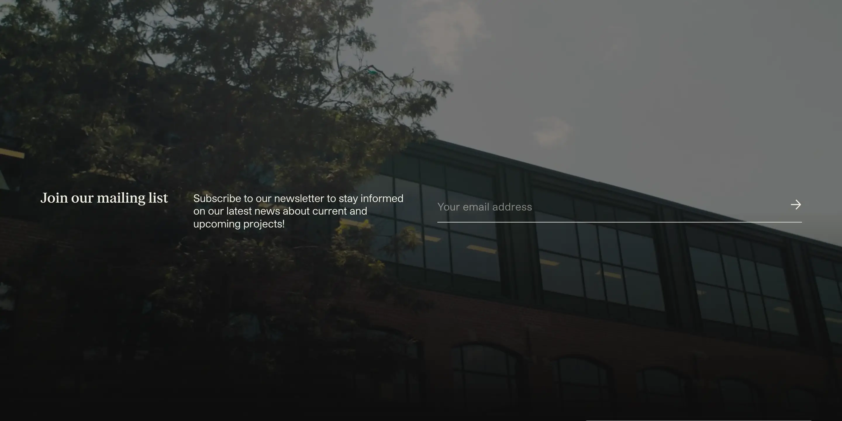 Montoni Newsletter Subscription CTA Design