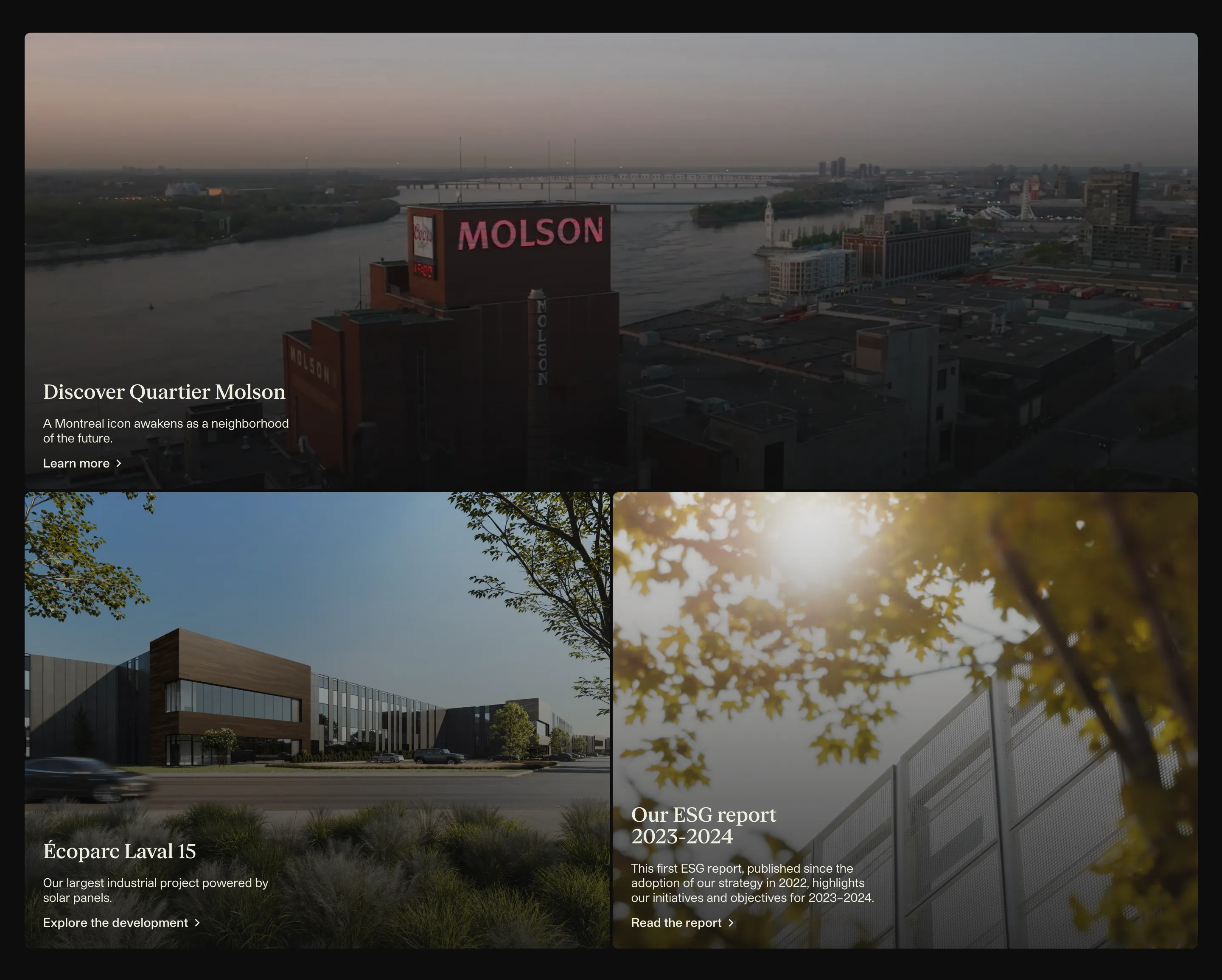 Montoni Project Portfolio Bento Grid Design