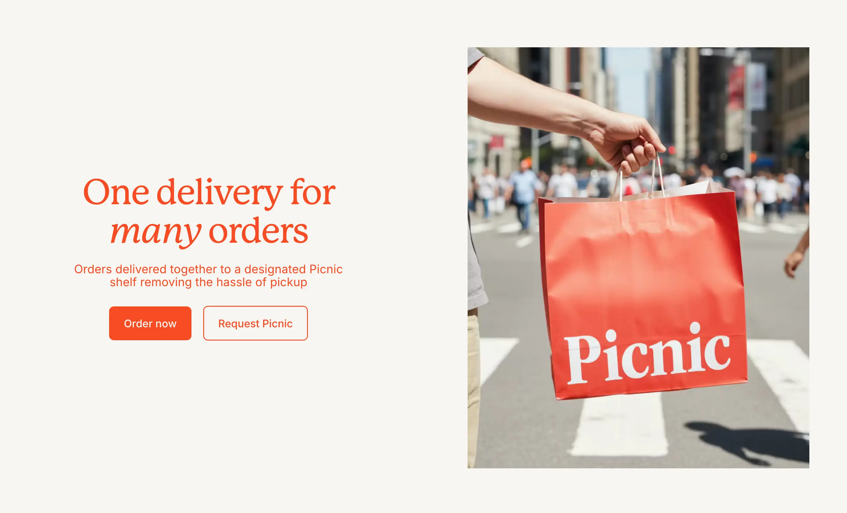 Picnic Delivery Design