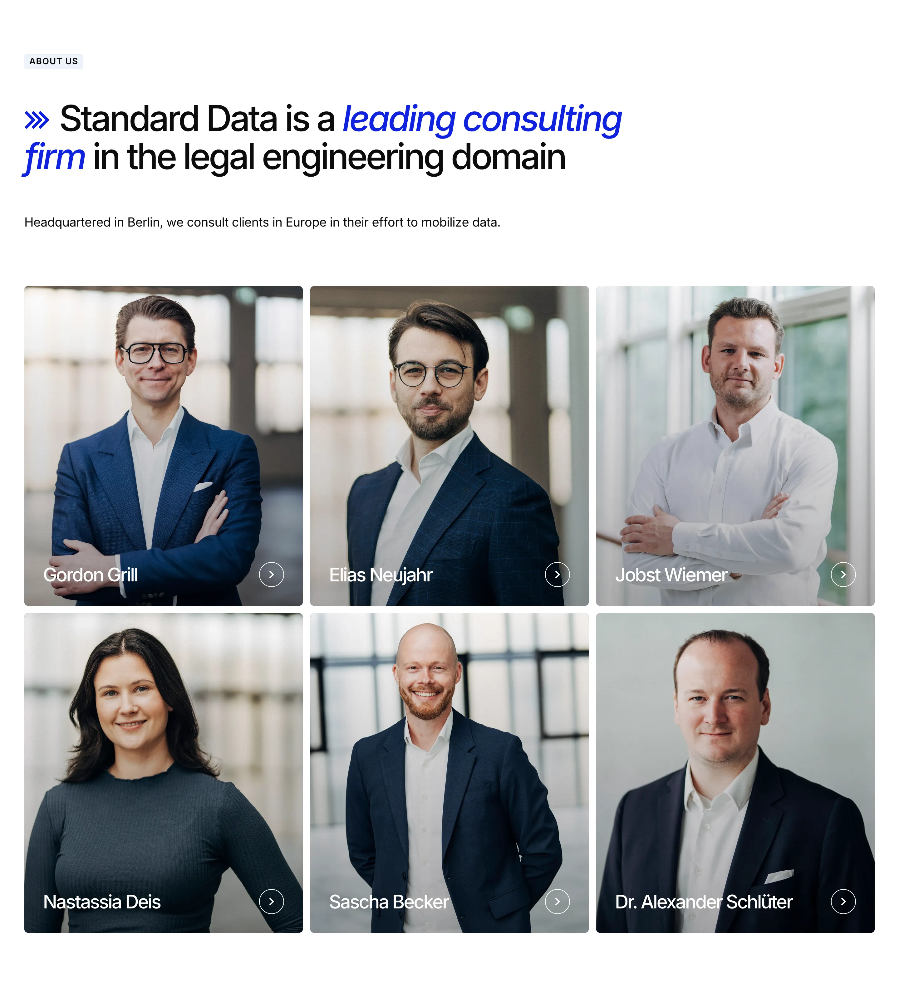 Standard Data Executive Team Design