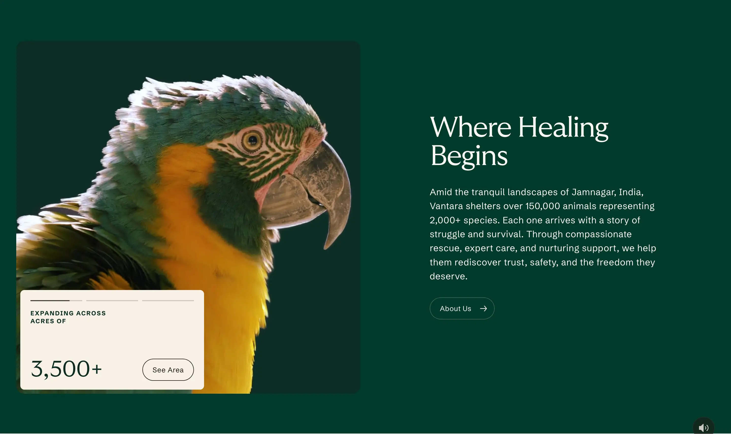 Vantara Animal Sanctuary Feature Design