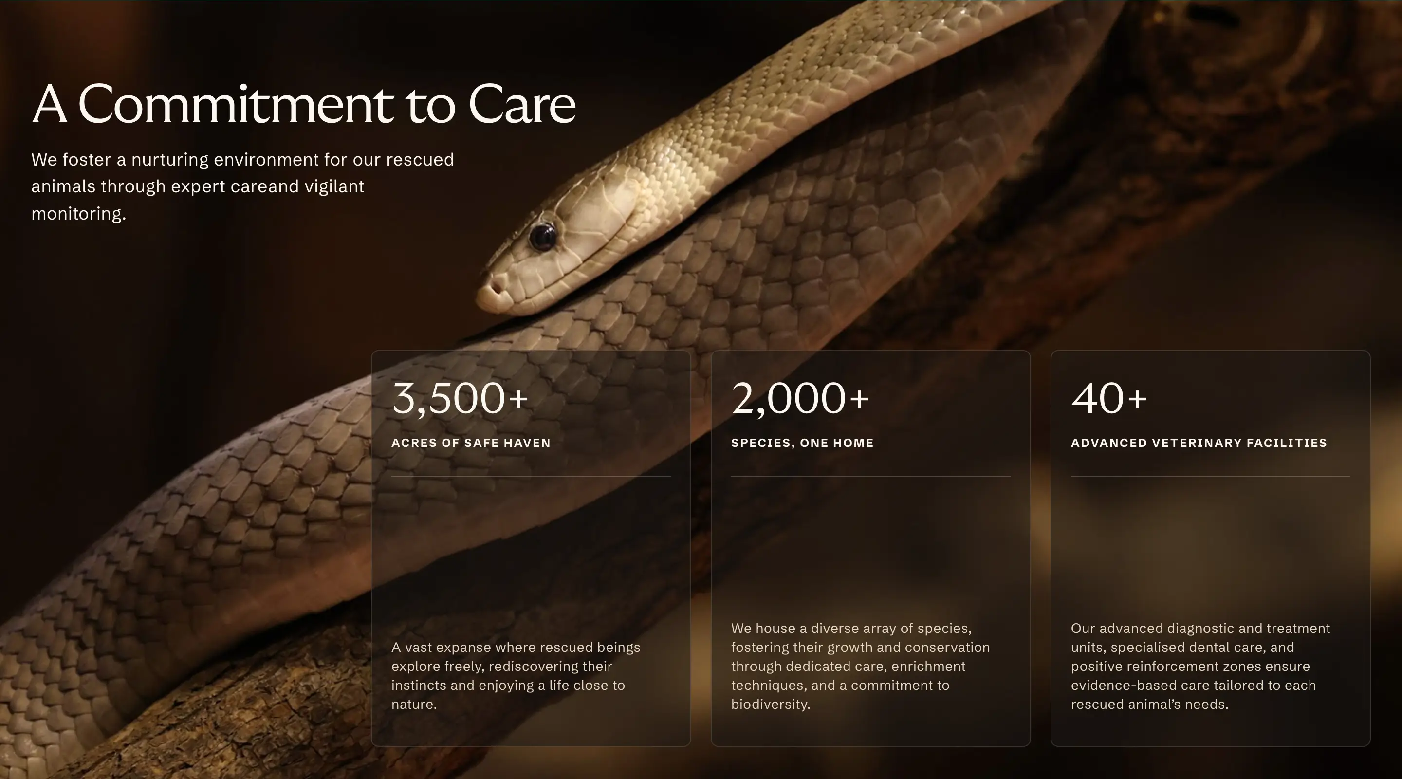 Vantara Facility Feature Design