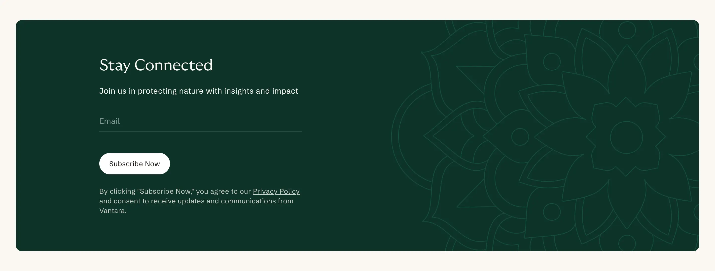 Vantara Newsletter CTA Design